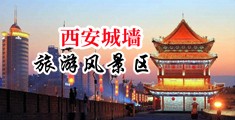 又骚又黄无遮挡中国陕西-西安城墙旅游风景区